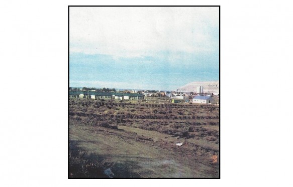 Tapalque